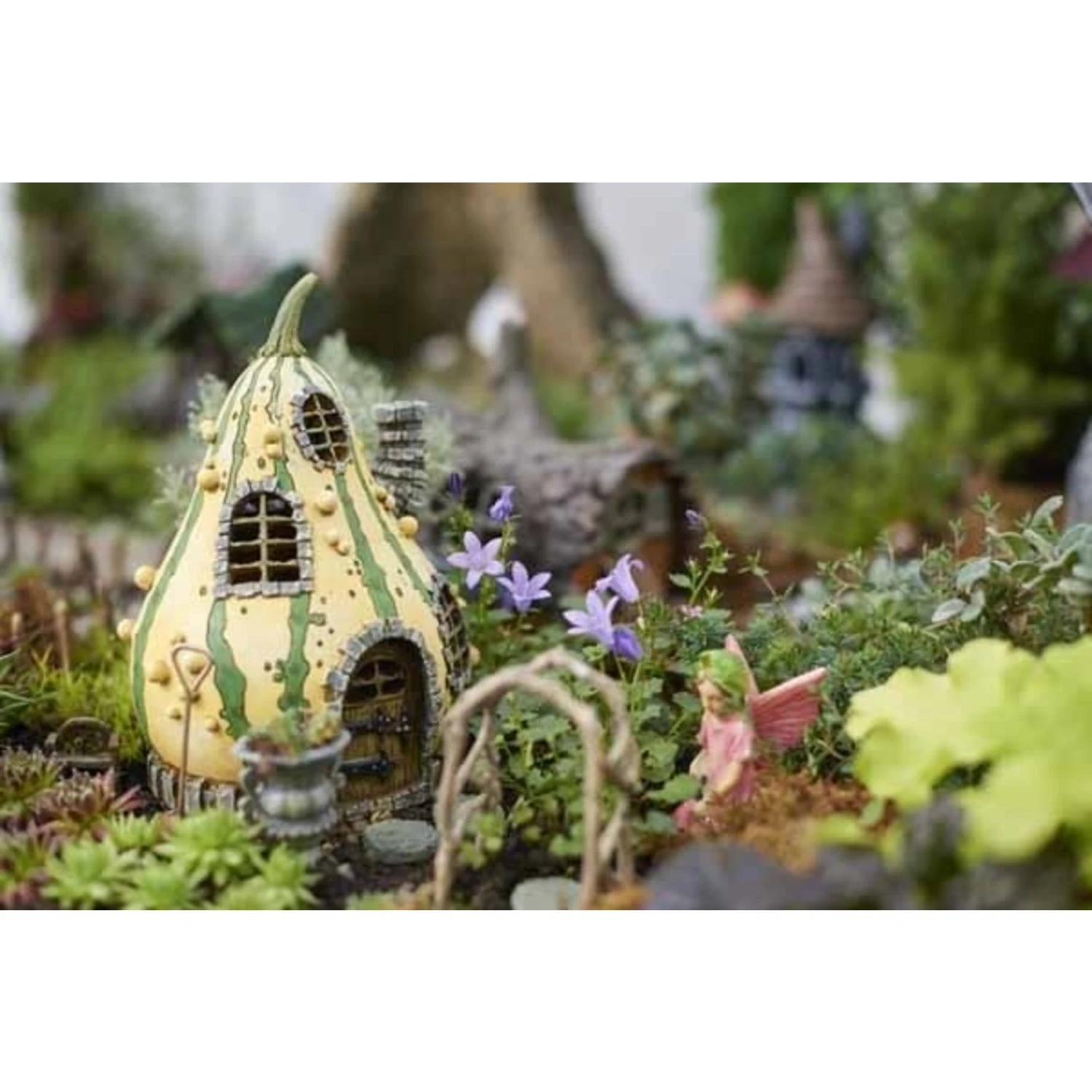 Fiddlehead - Striped Gourd House 3 Fiddlehead - Striped Gourd House