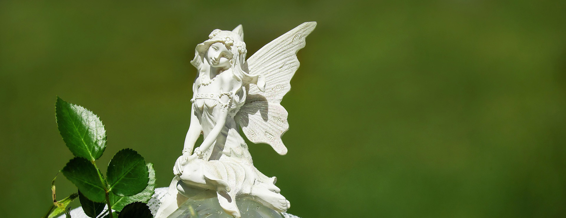 Kid Toys Store 2 Kid Toys Store -Kid Toys Store elf 1625022 1920